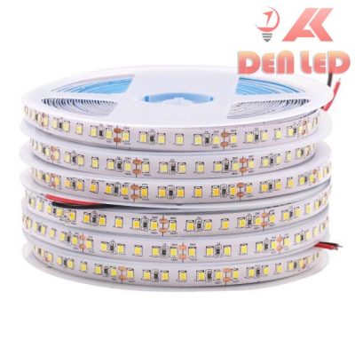 Led dây 120 chip