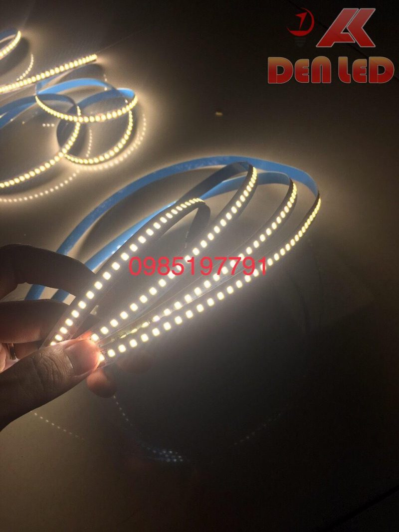 Led dây 168 chip