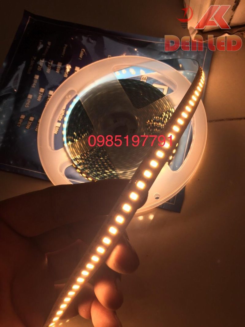 Led dây 168 chip